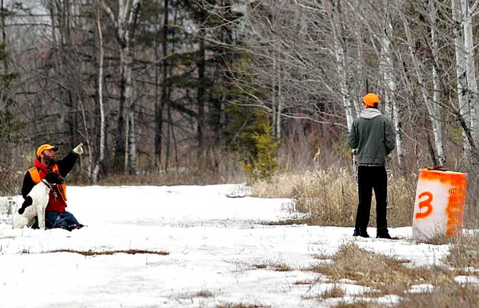 about-willow-view-pheasants-2